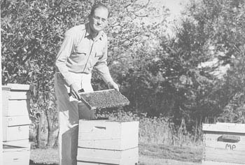 A man inspecting a beehive in a garden surrounded by trees.